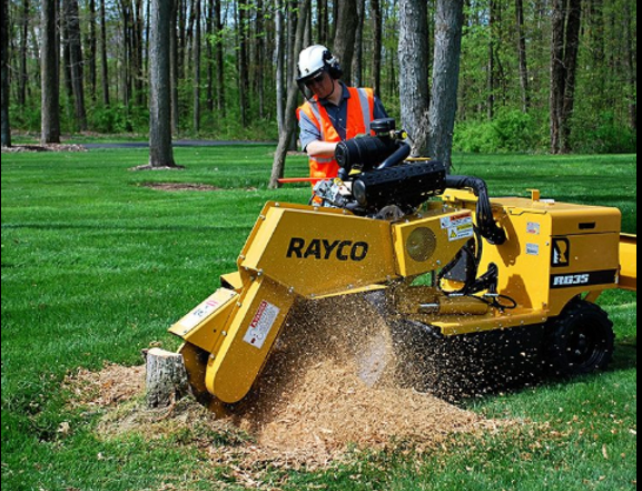 Professional stump grinding